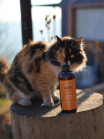 Mystic Therapy No:2 Hair Repair Shampoo