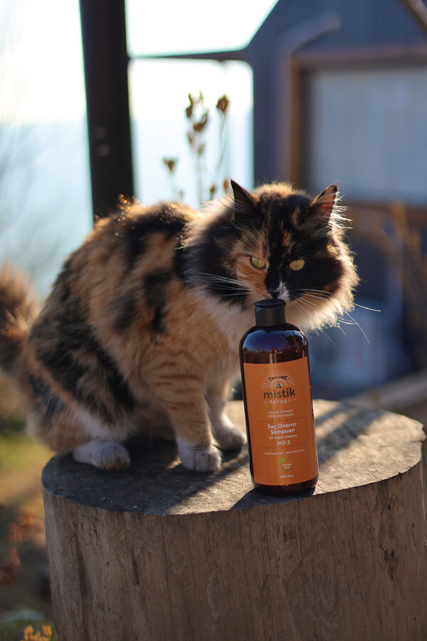 Mystic Therapy No:2 Hair Repair Shampoo